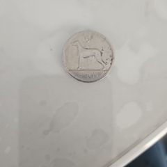 Irish Coin