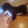 Large plush toys for sale Image 4