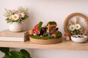 Fairy garden!