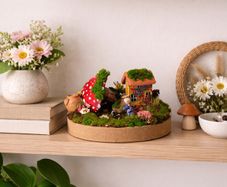 Fairy garden!