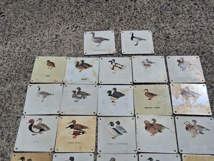 37 X Mid Century Avian Metal Display Plaques