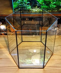 Hexagonal Aquarium 52l