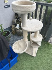 Free cat stand