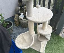 Free cat stand
