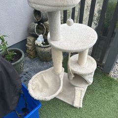 Free cat stand