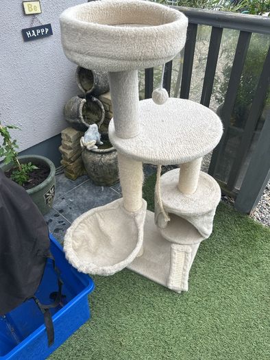 Free cat stand