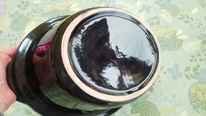 Slow cooker  insert dish