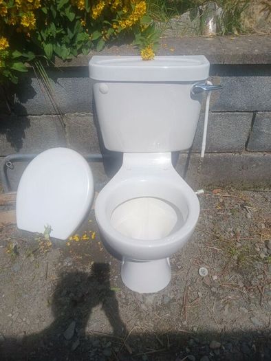 toilet