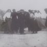 a old photo of connemara galway  people Image 5