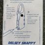 Delsey suitcase locks X 2 Image 2