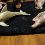 copper sand castings Image 3