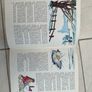 Vintage girls book collection 1960's including little women Image 3