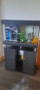 Hugo Kamishi Aquarium / Fish Tank