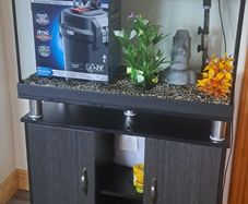 Hugo Kamishi Aquarium / Fish Tank