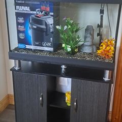Hugo Kamishi Aquarium / Fish Tank