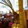 Pair of Polished Brass Vases Image 4