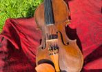 Violin