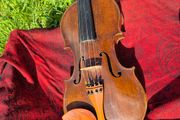 Violin