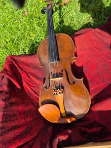 Violin
