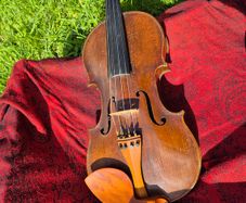 Violin