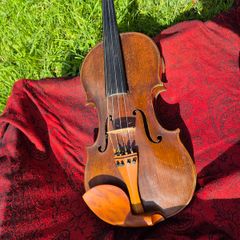 Violin