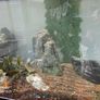 Aquarium 400l Image 2