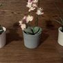 Artificial House Plants Image 3