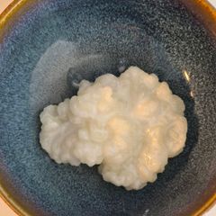 Kefir grains