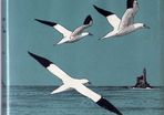 The Natural History Of Cape Clear Island (Oilean Cleire) of Cork Coast - Very  Rare Book