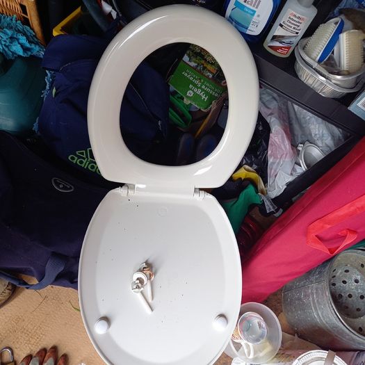 Toilet seat
