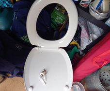 Toilet seat