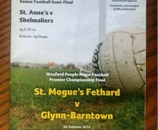 2014 St. Anne's v Shelmaliers - Wexford GAA Senior Football Club Semi-Final Programme
