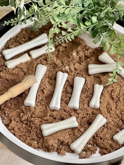 Yellow Door Dinosaur Bones Discovery Set