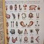 Codex Seraphinus Image 5