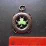 1974 Vintage Medal/Pendant 'Irish Amateur Swimming Association' Image 2