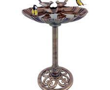 Clamshell Bird Bath with Stones