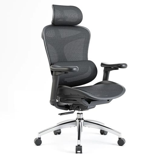 SIHOO Doro C300 Ergonomic Office Chair Brand New