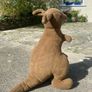 Large Kangaroo Teddy Image 2