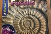 Free - Book - rocks and fossils