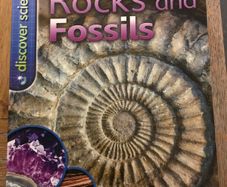 Free - Book - rocks and fossils