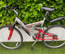 Shogun mountain bike