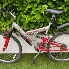 Shogun mountain bike