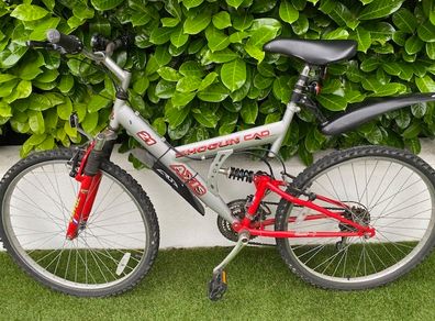 Shogun mountain bike