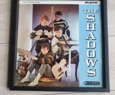 13.5 "vinyl picture the shadows 1961