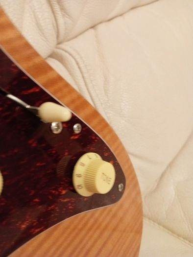 sire Larry carlton s7