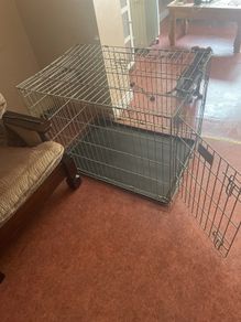 Crate Large