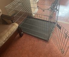 Crate Large
