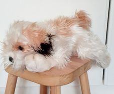 KEELTOYS Puppy Plush 35cm