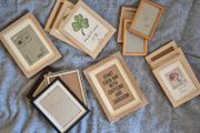 Lot of (14) picture frames.
