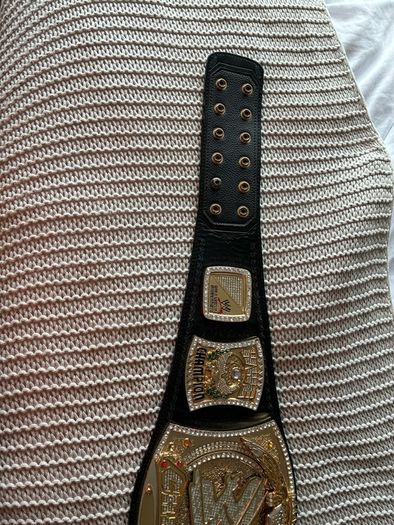 WWE Spinning Belt